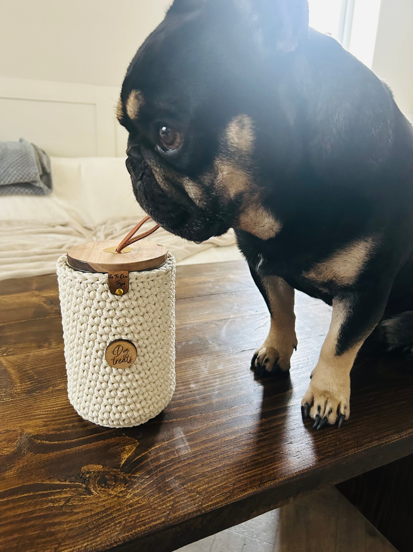 Crochet Dog Treat Jar